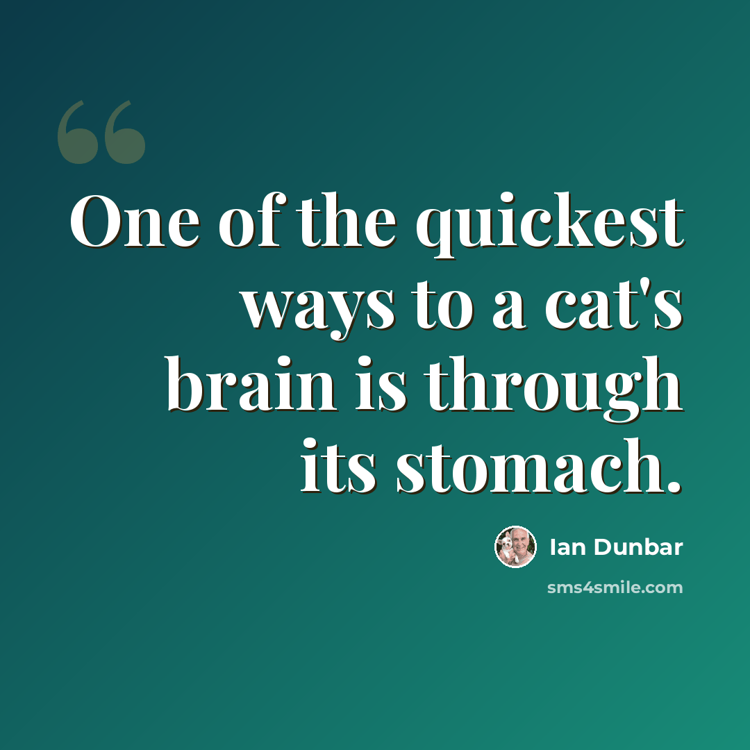 “One of the quickest ways to a cat's brain is through its stomach.” quote by Ian Dunbar