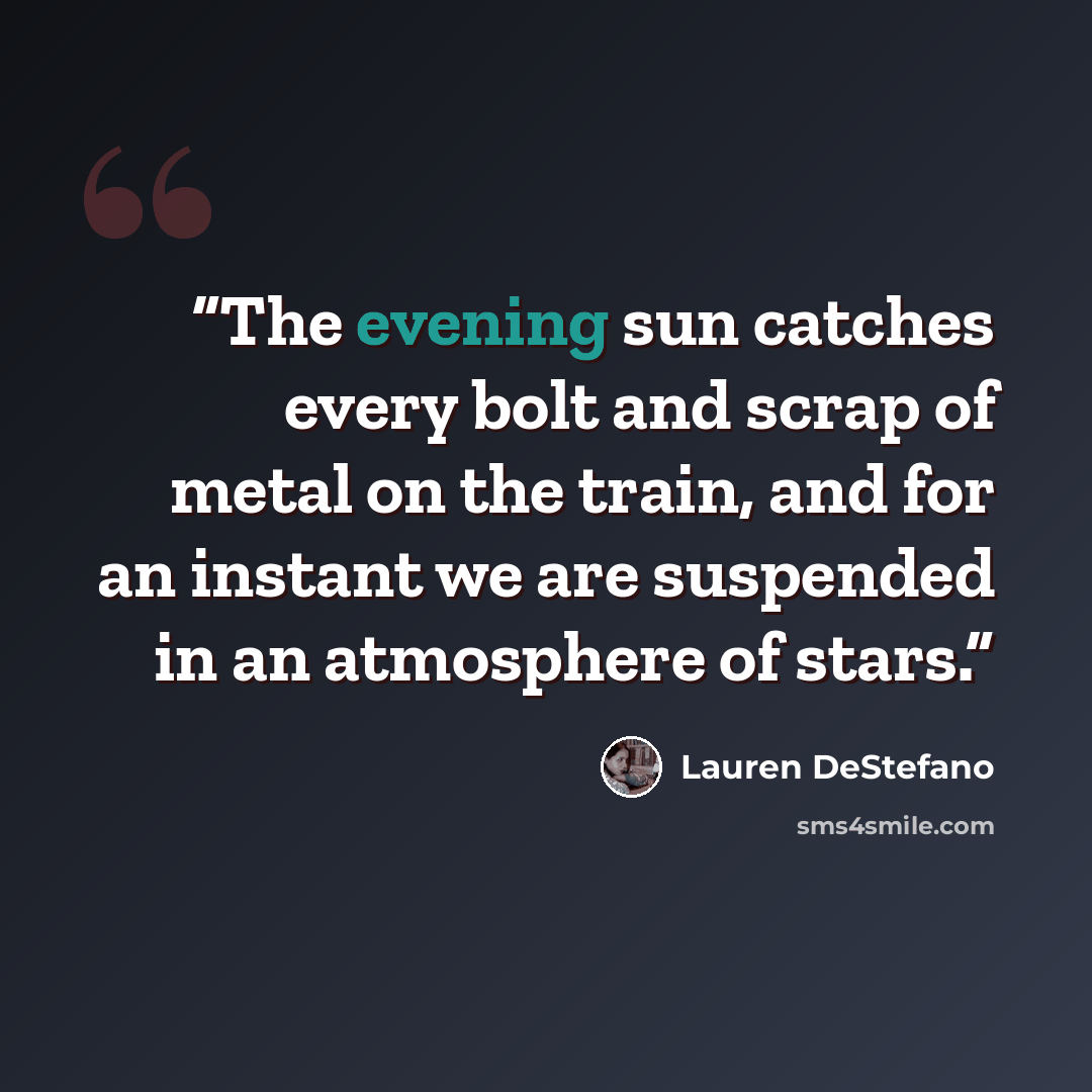 “The evening sun catches every bolt and scrap of metal on the train, and for an instant we are suspended in an atmosphere of stars.” quote by Lauren DeStefano