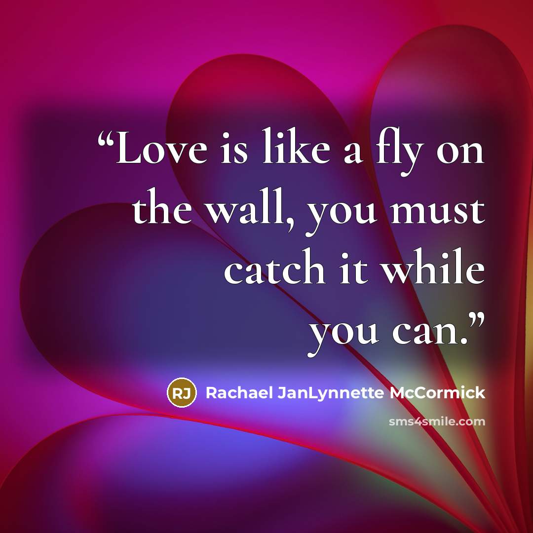 “Love is like a fly on the wall, you must catch it while you can.” quote by Rachael JanLynnette McCormick