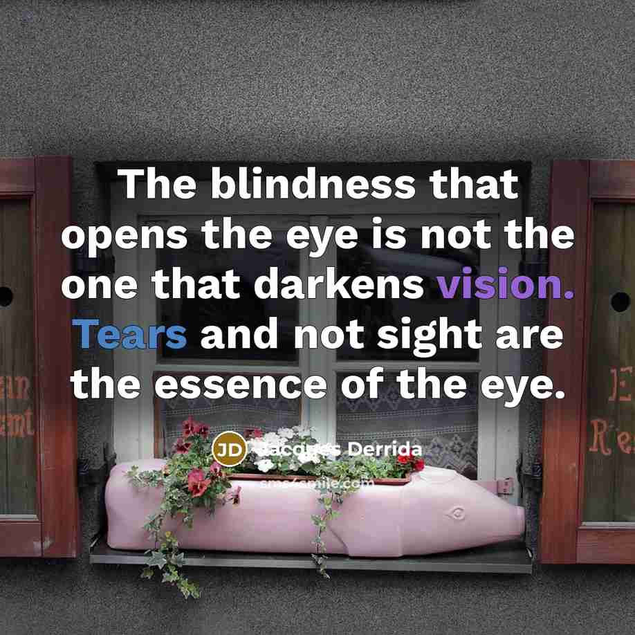 “The blindness that opens the eye is not the one that darkens vision. Tears and not sight are the essence of the eye.” quote by Jacques Derrida