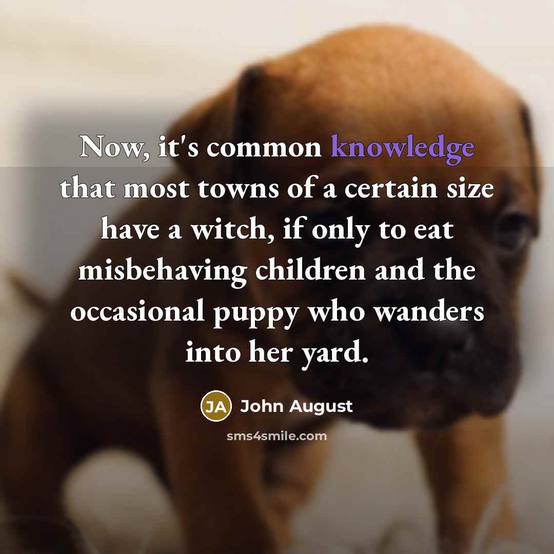 “Now, it's common knowledge that most towns of a certain size have a witch, if only to eat misbehaving children and the occasional puppy who wanders into her yard.” quote by John August