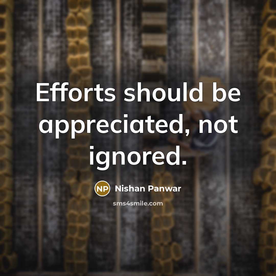 “Efforts should be appreciated, not ignored.” quote by Nishan Panwar