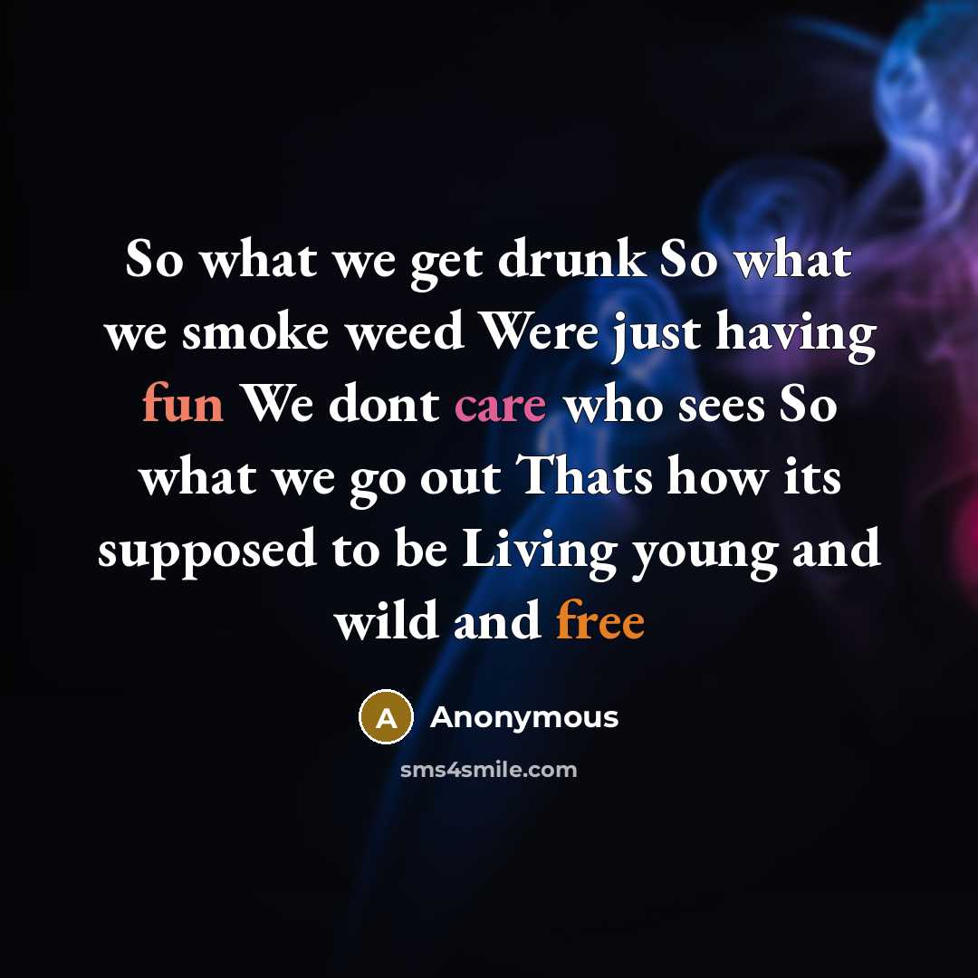 “So what we get drunk So what we smoke weed Were just having fun We dont care who sees So what we go out Thats how its supposed to be Living young and wild and free” quote by Anonymous
