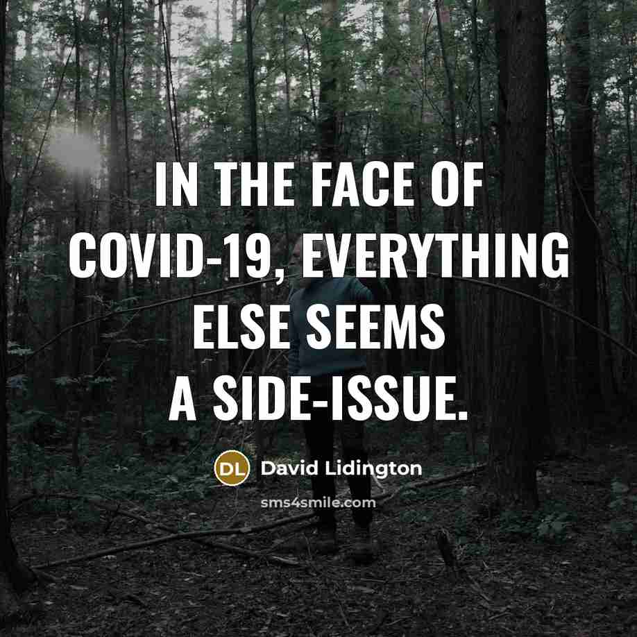 “In the face of Covid-19, everything else seems a side-issue.” quote by David Lidington