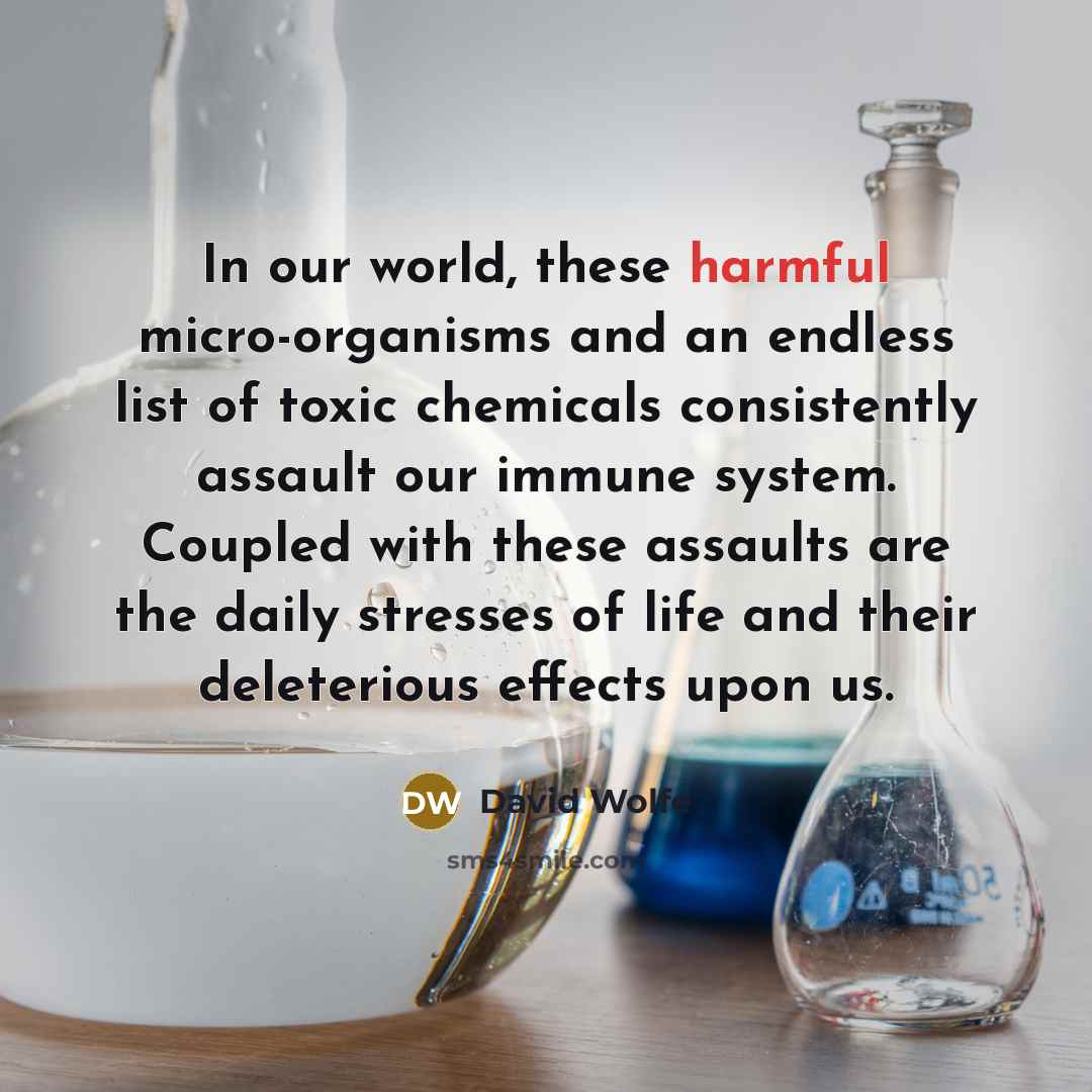 “In our world, these harmful micro-organisms and an endless list of toxic chemicals consistently assault our immune system. Coupled with these assaults are the daily stresses of life and their deleterious effects upon us.” quote by David Wolfe