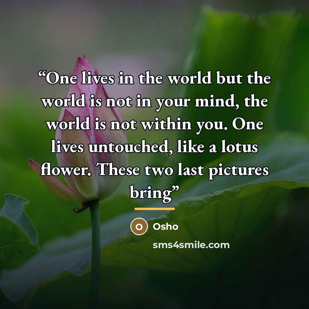 “One lives in the world but the world is not in your mind, the world is not within you. One lives untouched, like a lotus flower. These two last pictures bring” quote by Osho