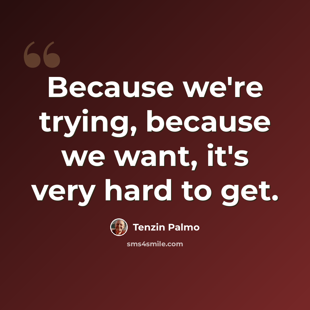 “Because we're trying, because we want, it's very hard to get.” quote by Tenzin Palmo