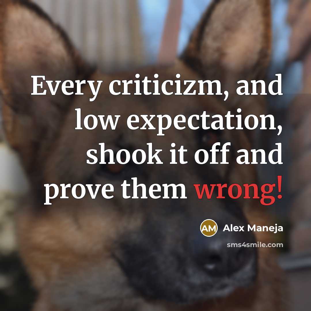 “Every criticizm, and low expectation, shook it off and prove them wrong!” quote by Alex Maneja