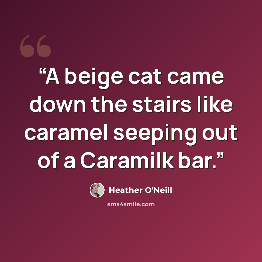 “A beige cat came down the stairs like caramel seeping out of a Caramilk bar.” quote by Heather O'Neill