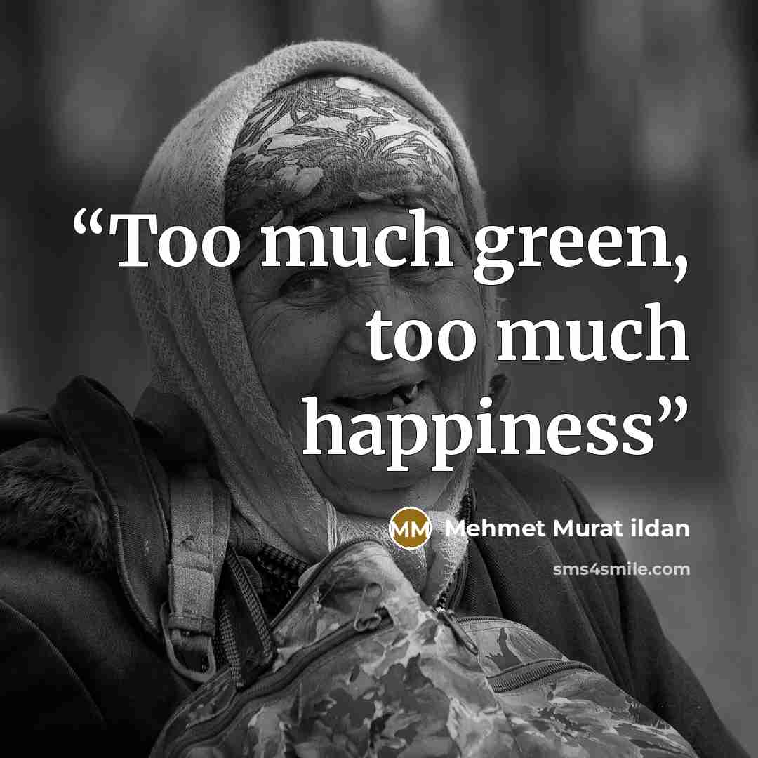 “Too much green, too much happiness” quote by Mehmet Murat ildan