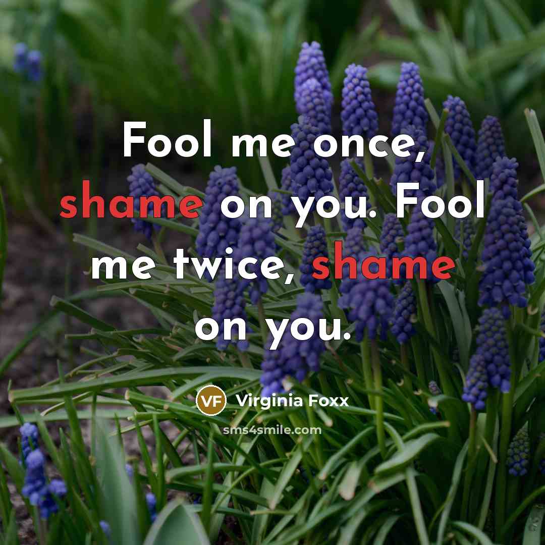 “Fool me once, shame on you. Fool me twice, shame on you.” quote by Virginia Foxx