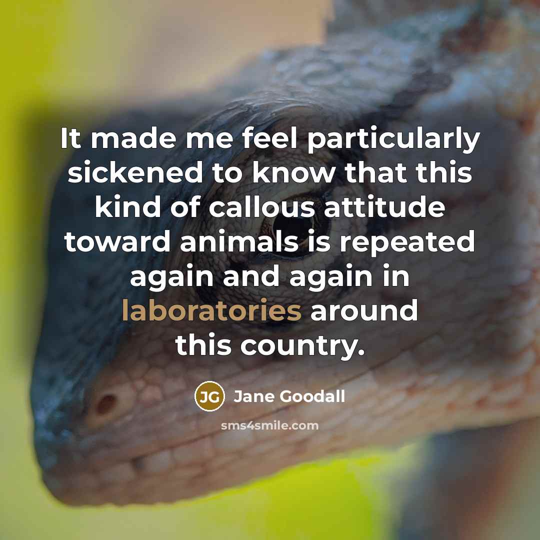 “It made me feel particularly sickened to know that this kind of callous attitude toward animals is repeated again and again in laboratories around this country.” quote by Jane Goodall