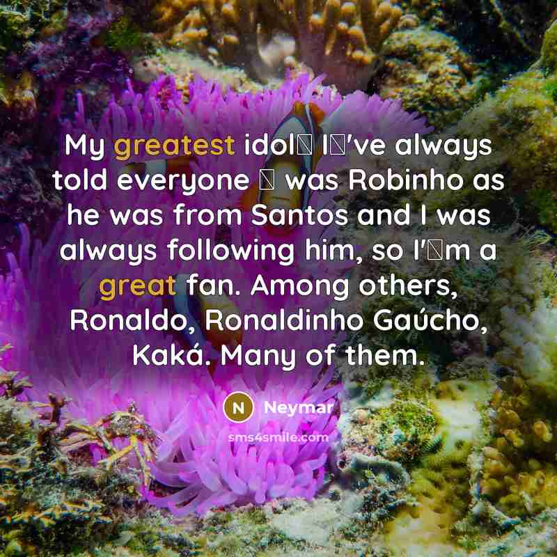 “My greatest idol I've always told everyone  was Robinho as he was from Santos and I was always following him, so I'm a great fan. Among others, Ronaldo, Ronaldinho Gaúcho, Kaká. Many of them.” quote by Neymar