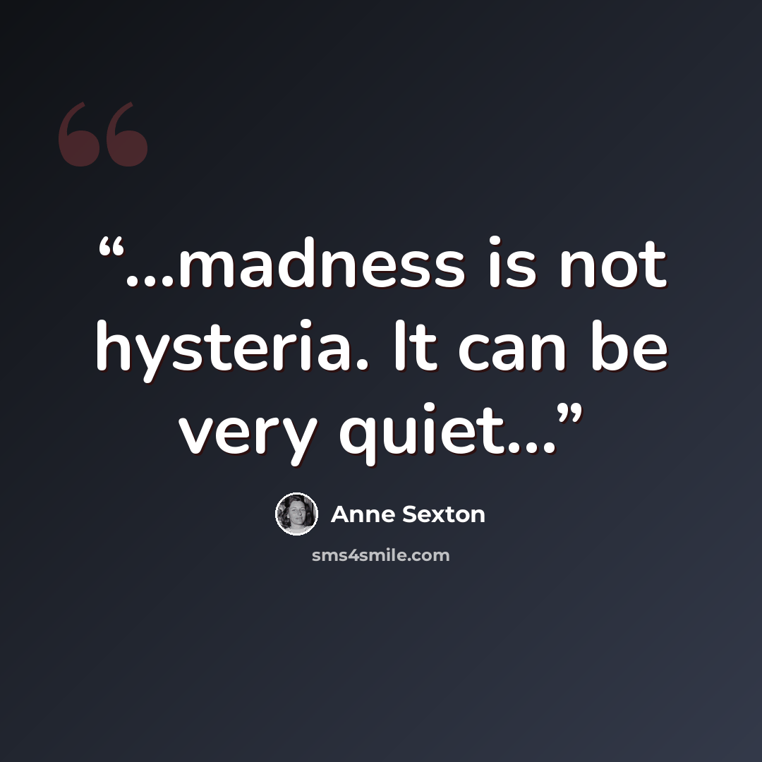 “…madness is not hysteria. It can be very quiet…” quote by Anne Sexton