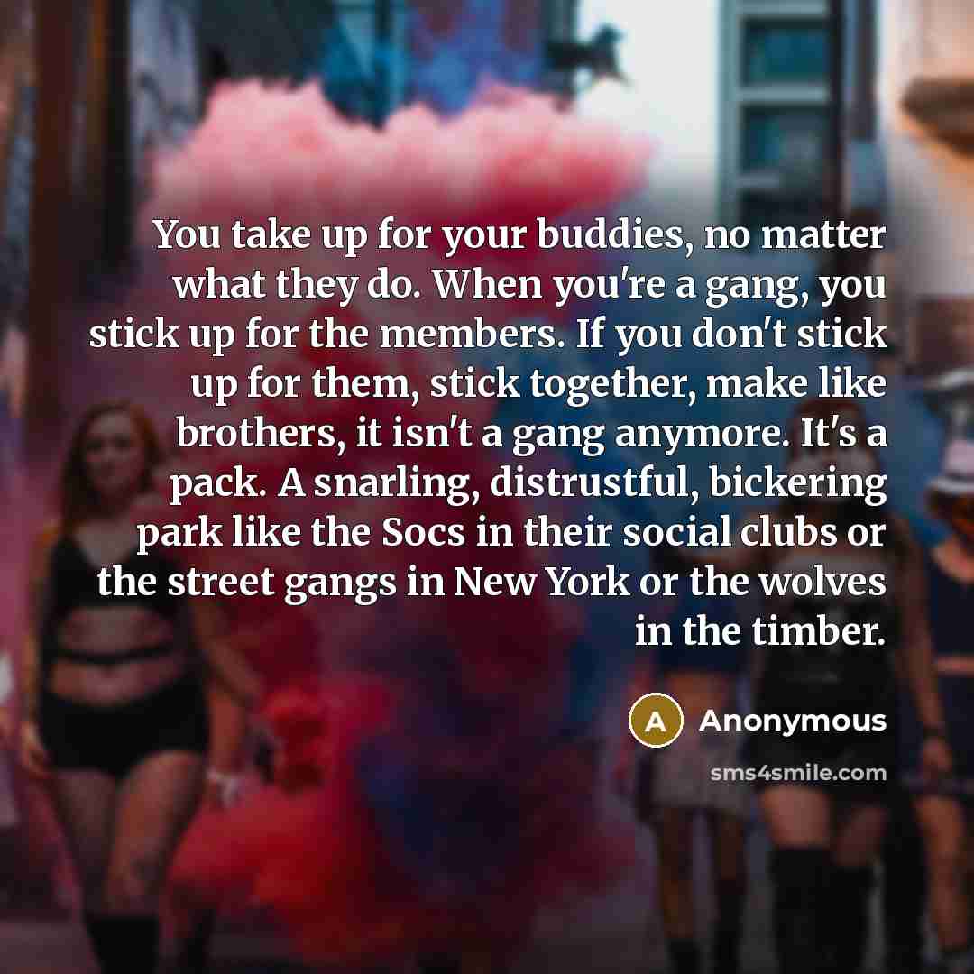 “You take up for your buddies, no matter what they do. When you're a gang, you stick up for the members. If you don't stick up for them, stick together, make like brothers, it isn't a gang anymore. It's a pack. A snarling, distrustful, bickering park like the Socs in their social clubs or the…” quote by Anonymous