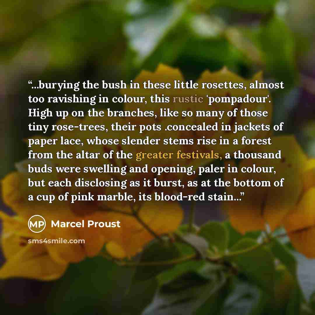 “...burying the bush in these little rosettes, almost too ravishing in colour, this rustic 'pompadour'. High up on the branches, like so many of those tiny rose-trees, their pots .concealed in jackets of paper lace, whose slender stems rise in a forest from the altar of the greater festivals, a…” quote by Marcel Proust