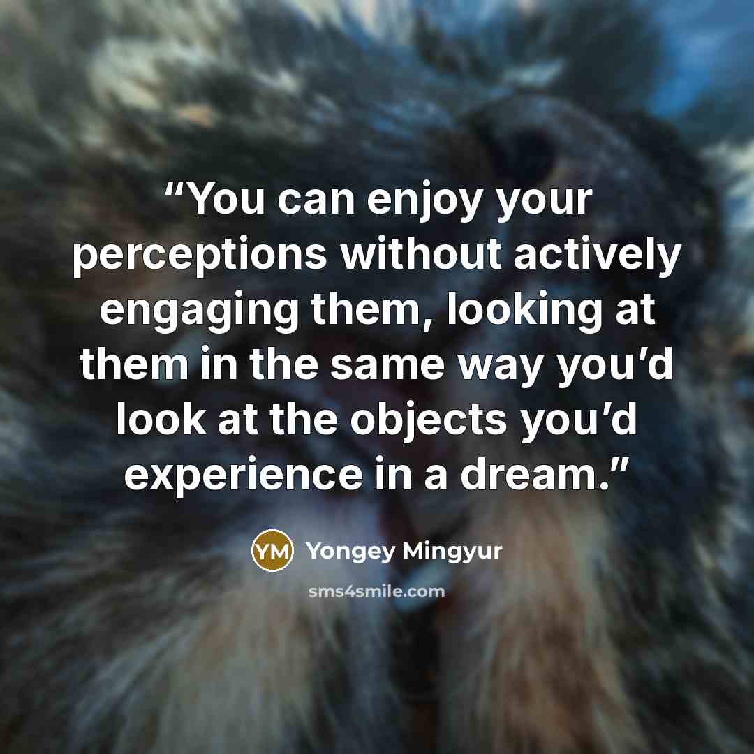 “You can enjoy your perceptions without actively engaging them, looking at them in the same way you’d look at the objects you’d experience in a dream.” quote by Yongey Mingyur