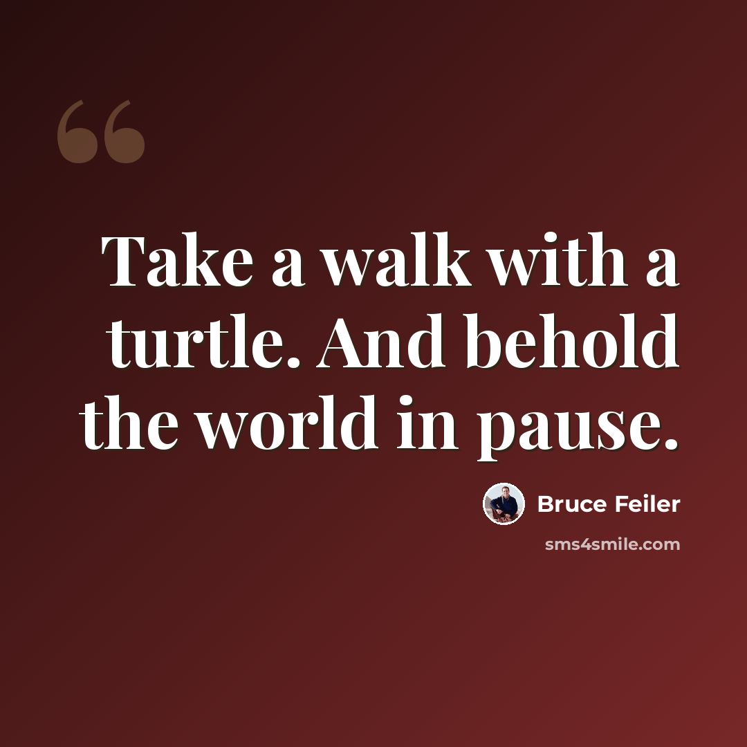 “Take a walk with a turtle. And behold the world in pause.” quote by Bruce Feiler