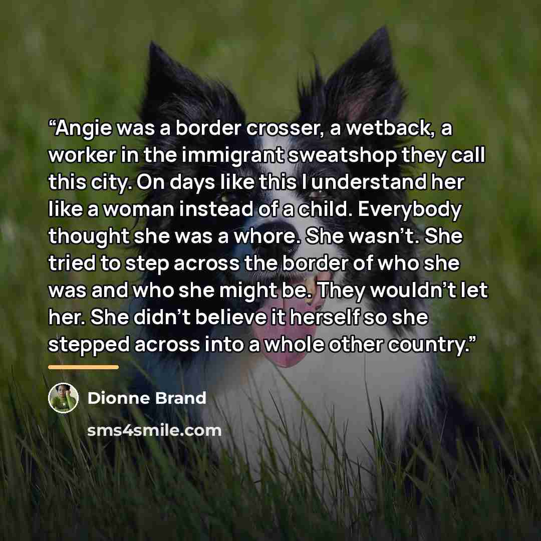 “Angie was a border crosser, a wetback, a worker in the immigrant sweatshop they call this city. On days like this I understand her like a woman instead of a child. Everybody thought she was a whore. She wasn’t. She tried to step across the border of who she was and who she might be. They wouldn’t…” quote by Dionne Brand
