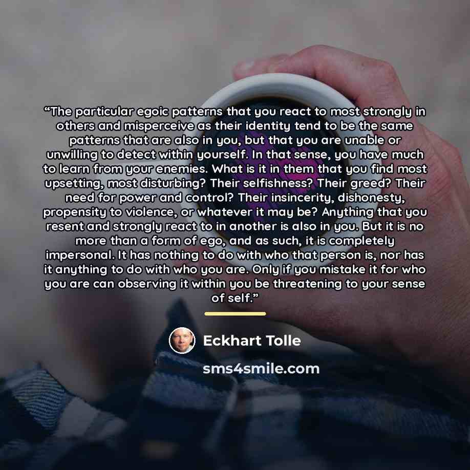 “The particular egoic patterns that you react to most strongly in others and misperceive as their identity tend to be the same patterns that are also in you, but that you are unable or unwilling to detect within yourself. In that sense, you have much to learn from your enemies. What is it in them…” quote by Eckhart Tolle