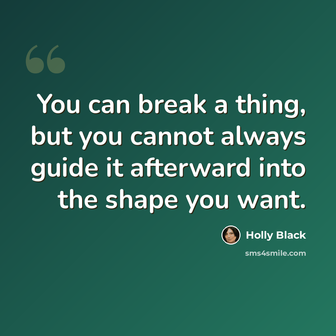 “You can break a thing, but you cannot always guide it afterward into the shape you want.” quote by Holly Black