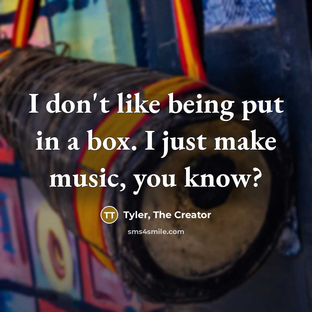 “I don't like being put in a box. I just make music, you know?” quote by Tyler, The Creator