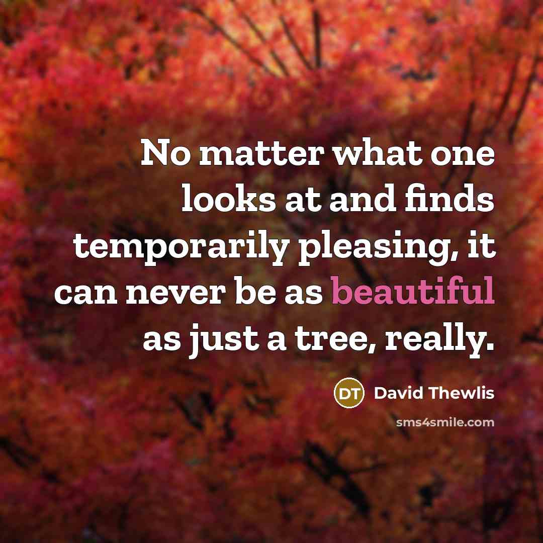 “No matter what one looks at and finds temporarily pleasing, it can never be as beautiful as just a tree, really.” quote by David Thewlis