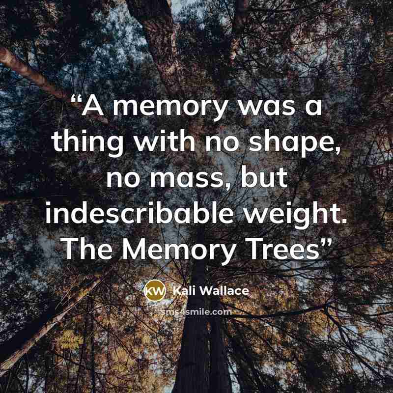 “A memory was a thing with no shape, no mass, but indescribable weight. The Memory Trees” quote by Kali Wallace