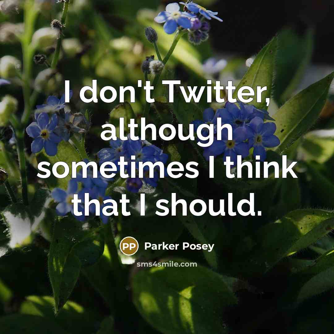 “I don't Twitter, although sometimes I think that I should.” quote by Parker Posey