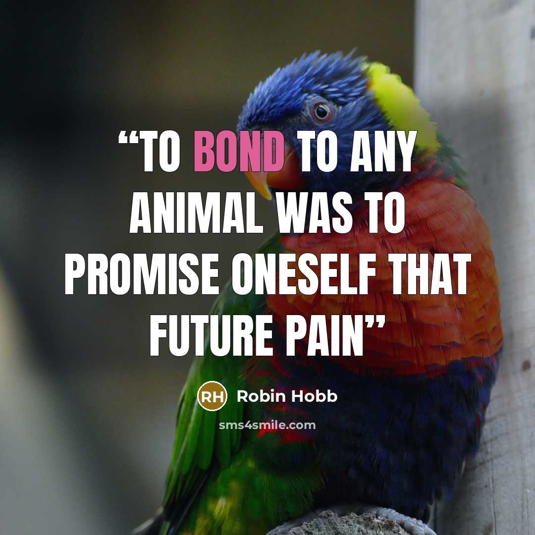 “To bond to any animal was to promise oneself that future pain” quote by Robin Hobb