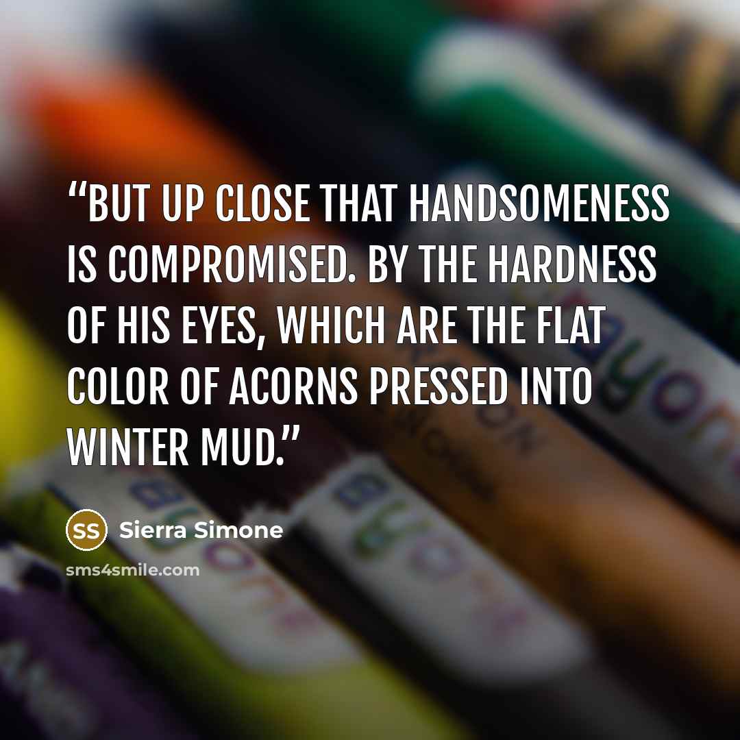 “But up close that handsomeness is compromised. By the hardness of his eyes, which are the flat color of acorns pressed into winter mud.” quote by Sierra Simone