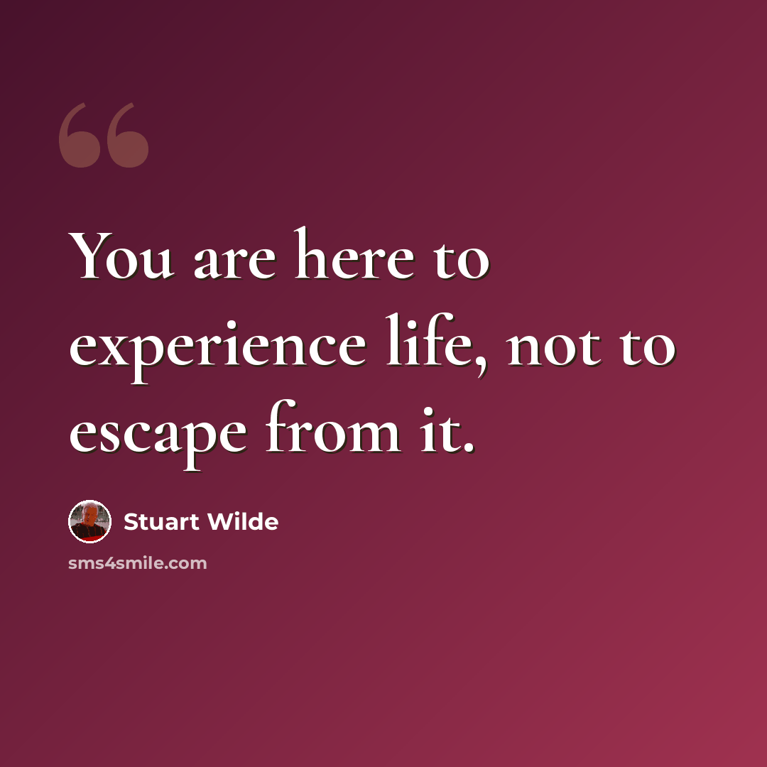 “You are here to experience life, not to escape from it.” quote by Stuart Wilde