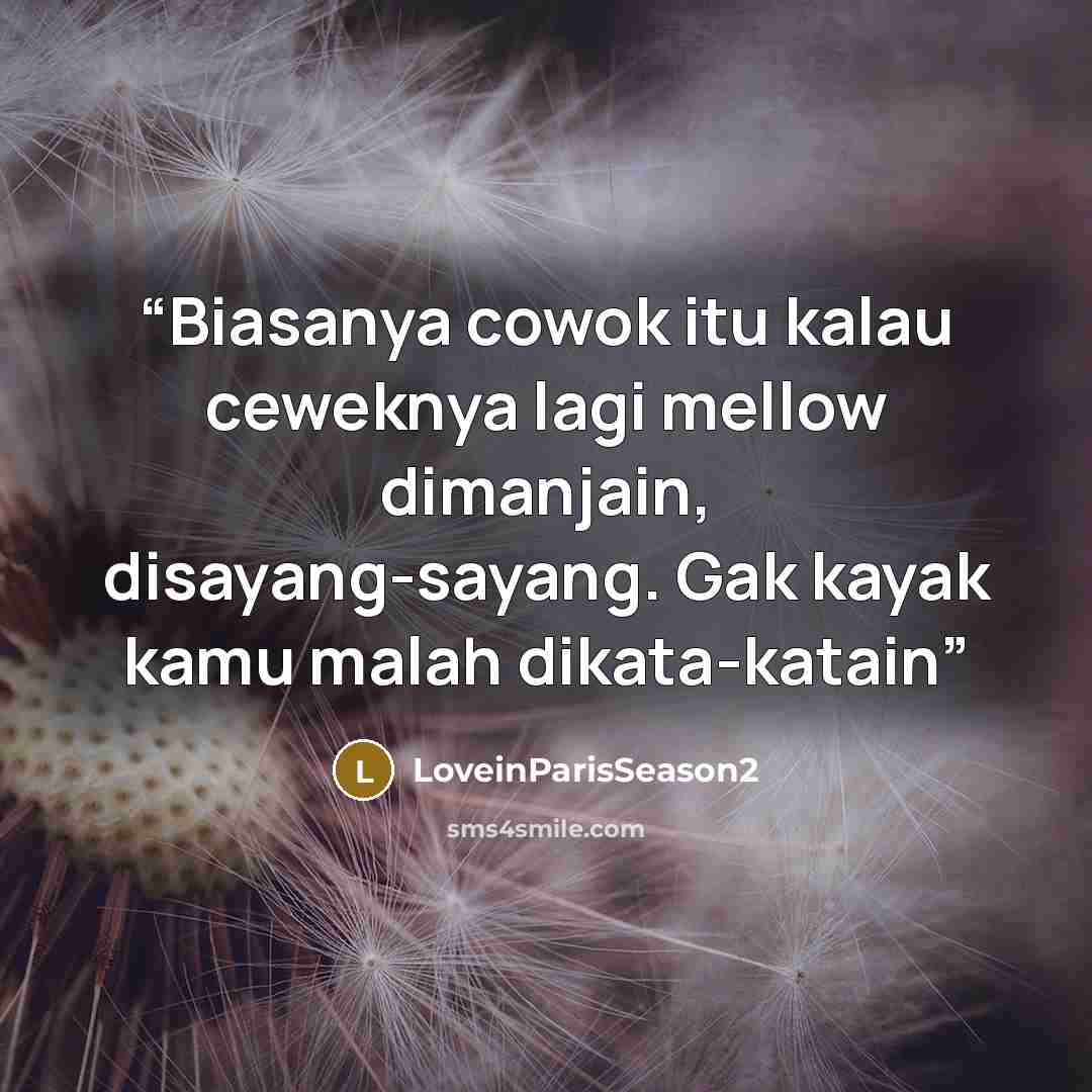 “Biasanya cowok itu kalau ceweknya lagi mellow dimanjain, disayang-sayang. Gak kayak kamu malah dikata-katain” quote by LoveinParisSeason2