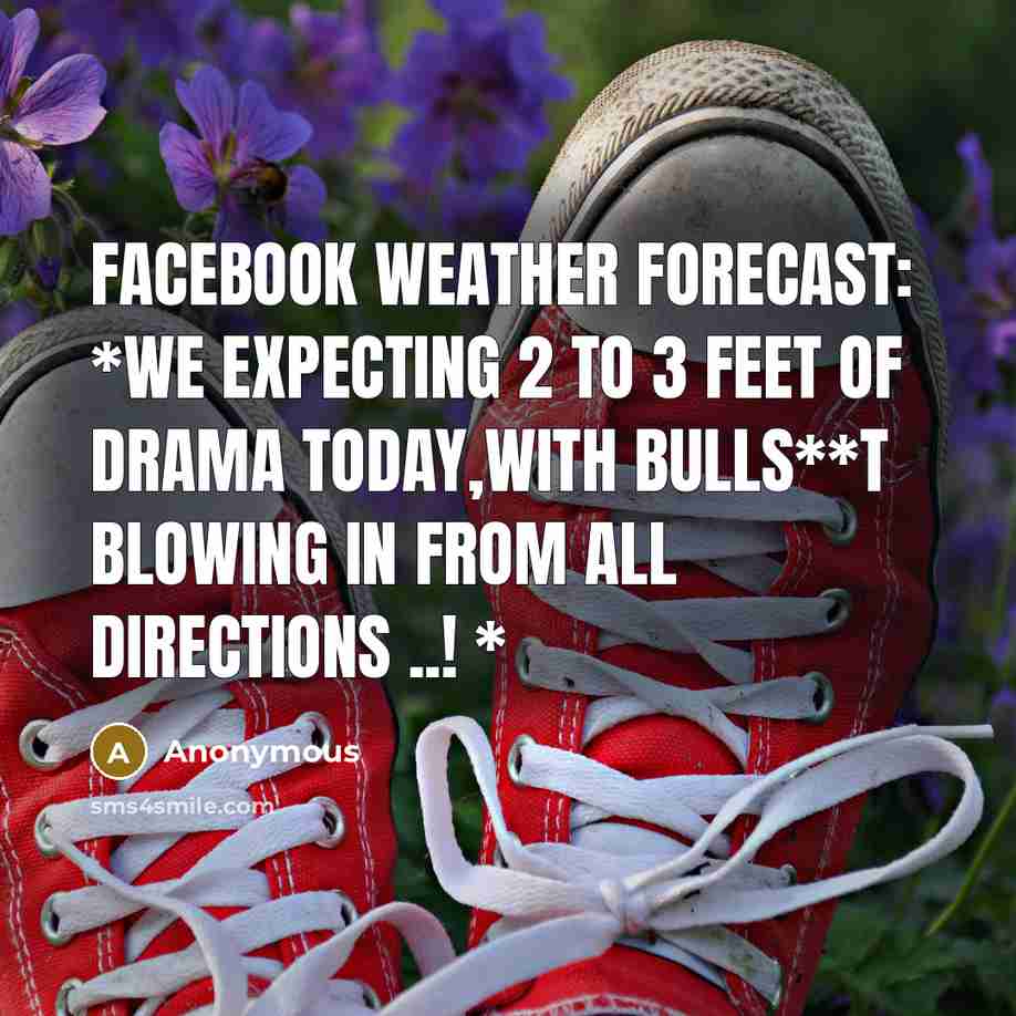 “Facebook Weather Forecast: *We expecting 2 to 3 feet of drama today,with bulls**t blowing in from all directions ..! *” quote by Anonymous