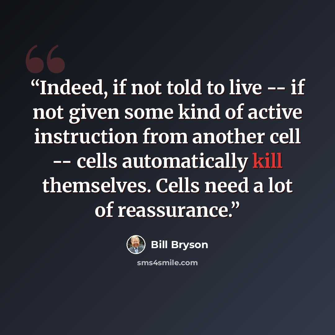 “Indeed, if not told to live -- if not given some kind of active instruction from another cell -- cells automatically kill themselves. Cells need a lot of reassurance.” quote by Bill Bryson