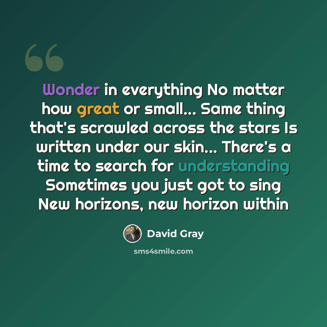 “Wonder in everything No matter how great or small... Same thing that's scrawled across the stars Is written under our skin... There's a time to search for understanding Sometimes you just got to sing New horizons, new horizon within” quote by David Gray