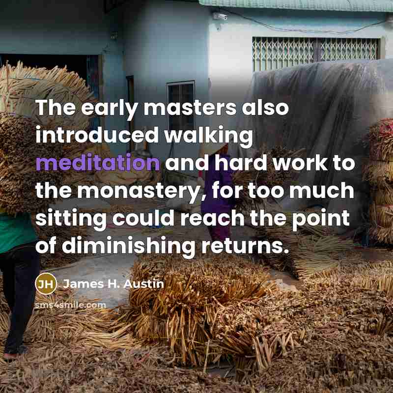 “The early masters also introduced walking meditation and hard work to the monastery, for too much sitting could reach the point of diminishing returns.” quote by James H. Austin