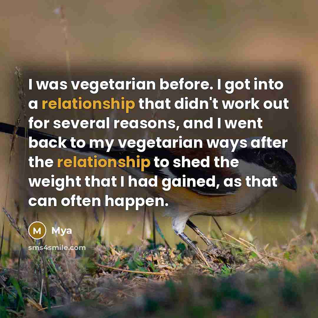 “I was vegetarian before. I got into a relationship that didn't work out for several reasons, and I went back to my vegetarian ways after the relationship to shed the weight that I had gained, as that can often happen.” quote by Mya