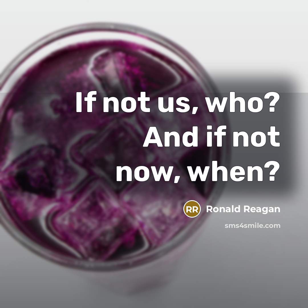 “If not us, who? And if not now, when?” quote by Ronald Reagan