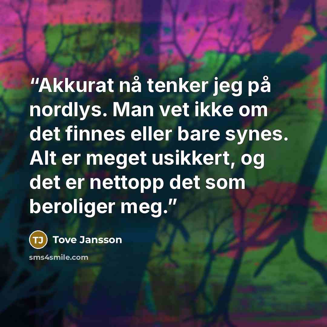 “Akkurat nå tenker jeg på nordlys. Man vet ikke om det finnes eller bare synes. Alt er meget usikkert, og det er nettopp det som beroliger meg.” quote by Tove Jansson