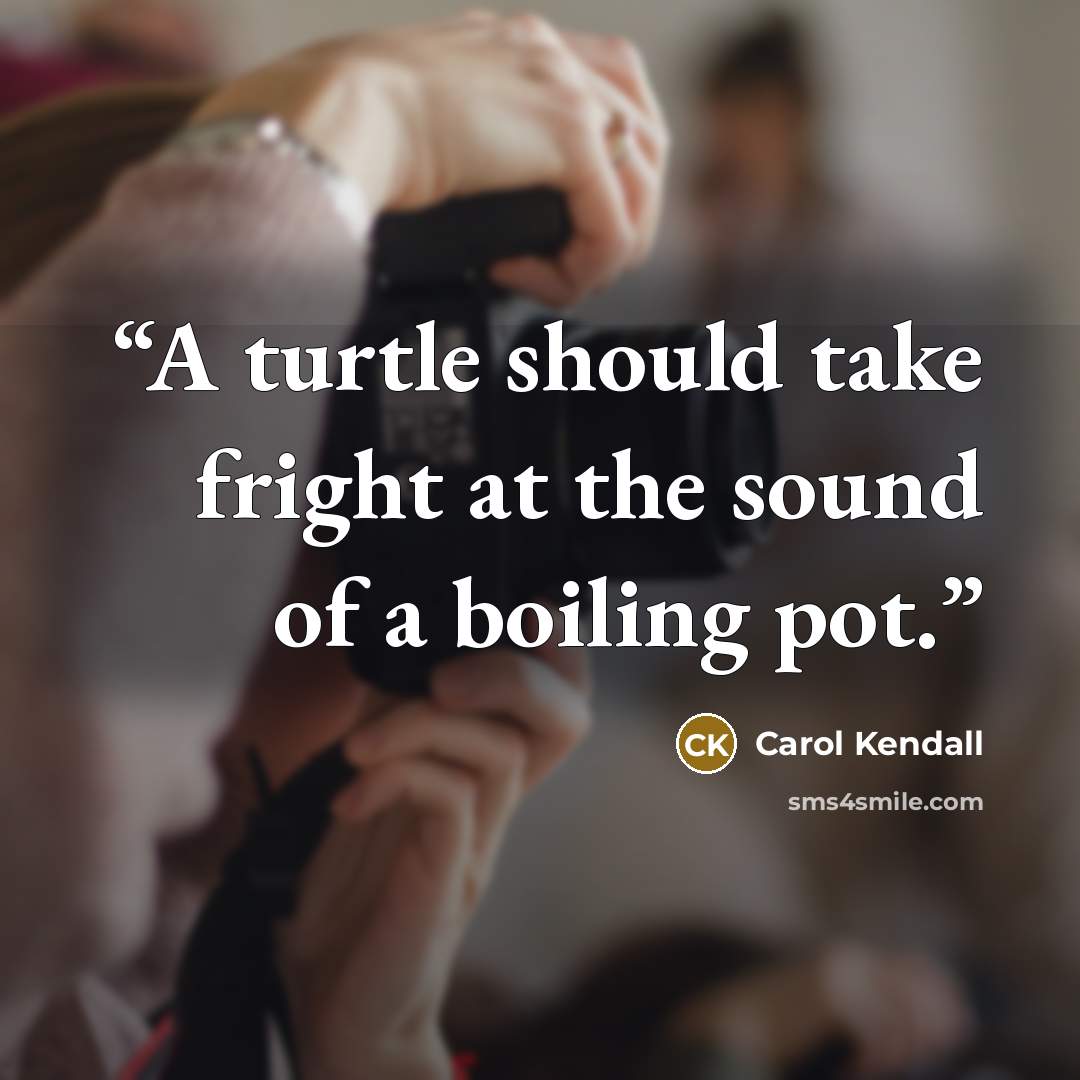 “A turtle should take fright at the sound of a boiling pot.” quote by Carol Kendall