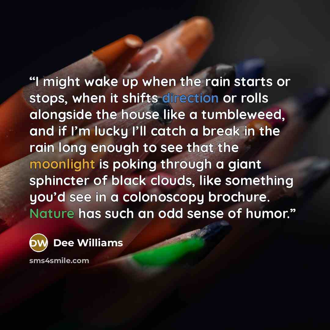 “I might wake up when the rain starts or stops, when it shifts direction or rolls alongside the house like a tumbleweed, and if I’m lucky I’ll catch a break in the rain long enough to see that the moonlight is poking through a giant sphincter of black clouds, like something you’d see in a…” quote by Dee Williams