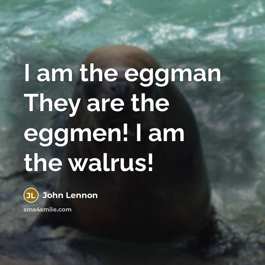 “I am the eggman They are the eggmen! I am the walrus!” quote by John Lennon