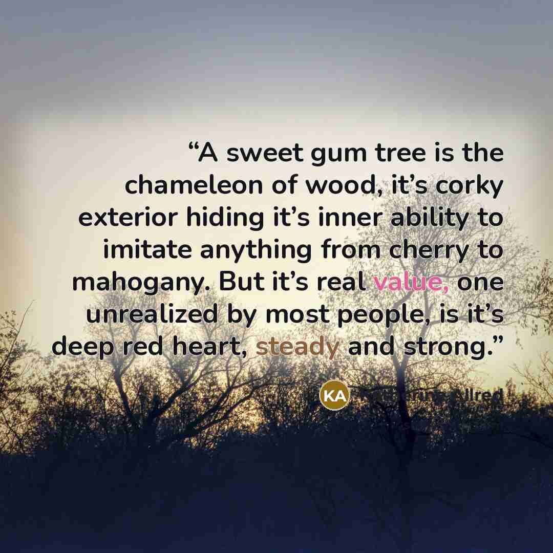 “A sweet gum tree is the chameleon of wood, it’s corky exterior hiding it’s inner ability to imitate anything from cherry to mahogany. But it’s real value, one unrealized by most people, is it’s deep red heart, steady and strong.” quote by Katherine Allred
