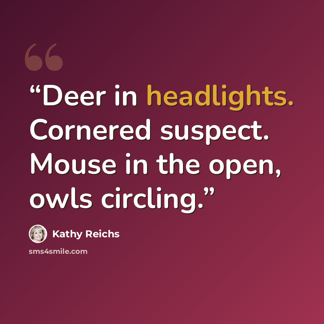 “Deer in headlights. Cornered suspect. Mouse in the open, owls circling.” quote by Kathy Reichs