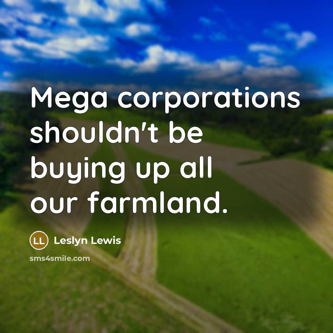 “Mega corporations shouldn't be buying up all our farmland.” quote by Leslyn Lewis