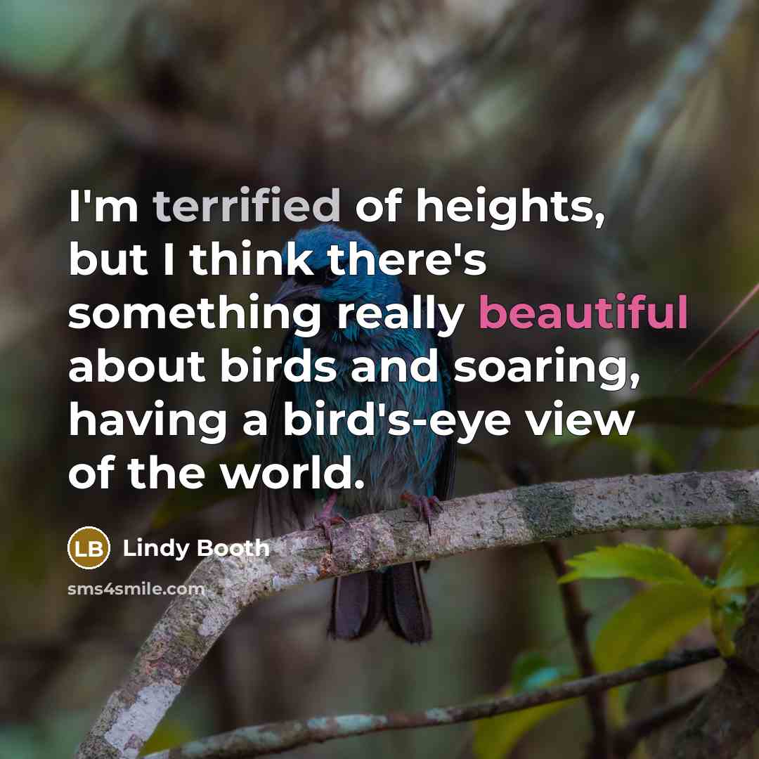 “I'm terrified of heights, but I think there's something really beautiful about birds and soaring, having a bird's-eye view of the world.” quote by Lindy Booth