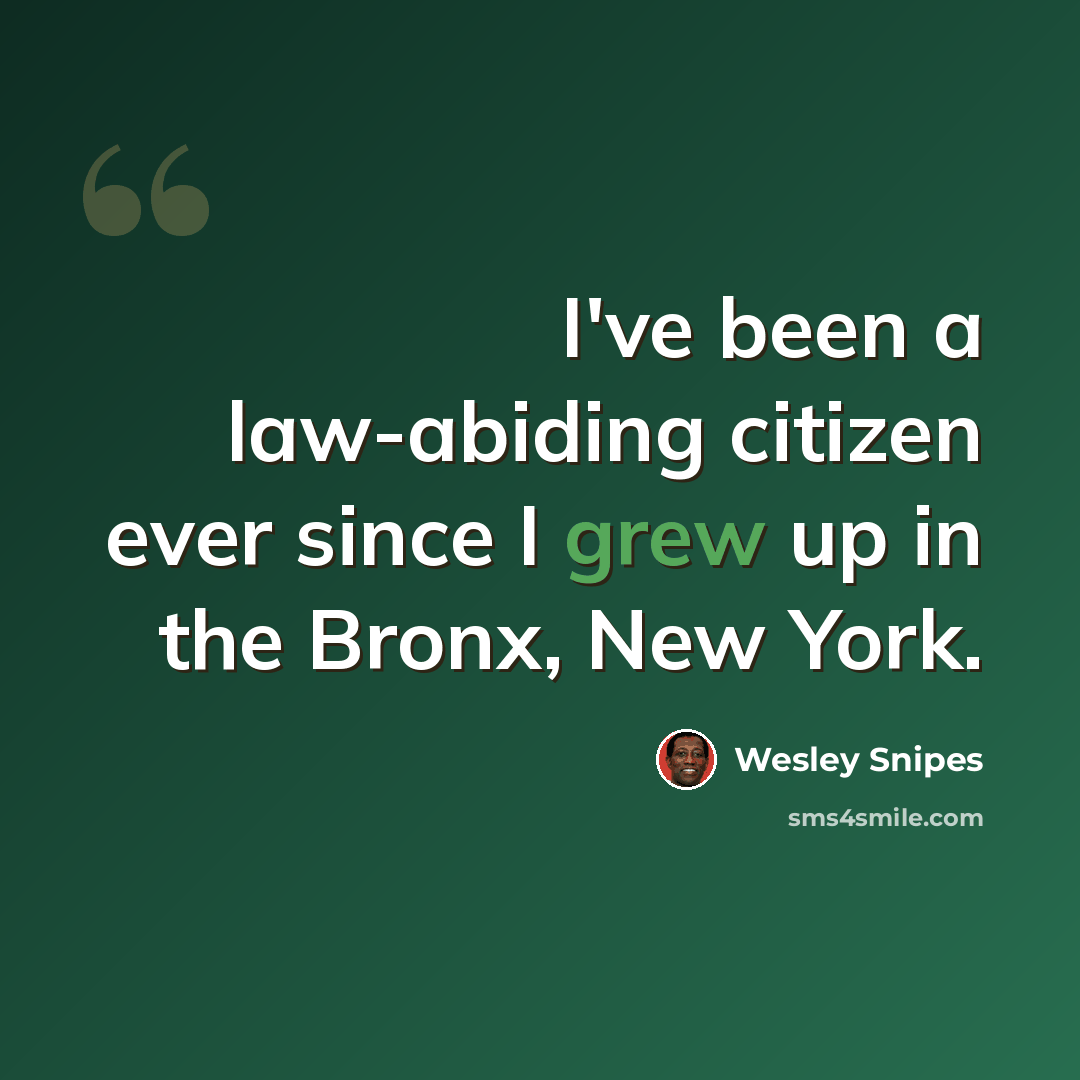 “I've been a law-abiding citizen ever since I grew up in the Bronx, New York.” quote by Wesley Snipes