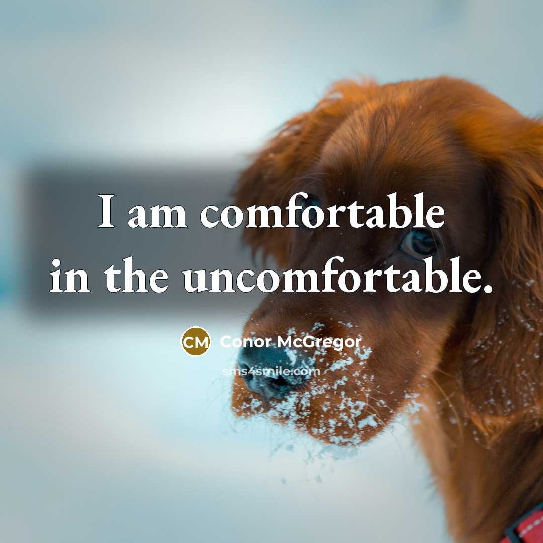 “I am comfortable in the uncomfortable.” quote by Conor McGregor
