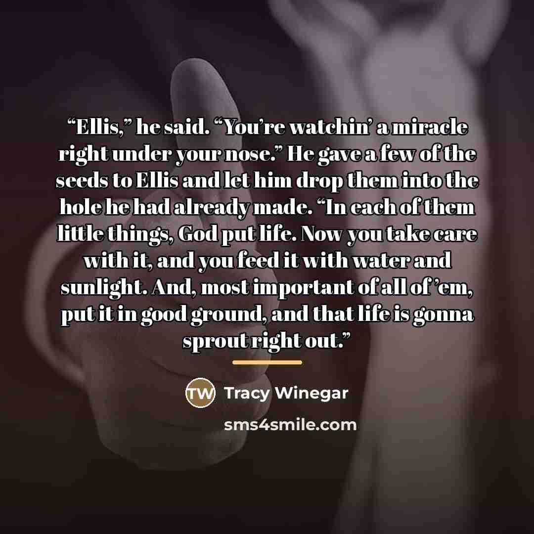 “Ellis,” he said. “You’re watchin’ a miracle right under your nose.” He gave a few of the seeds to Ellis and let him drop them into the hole he had already made. “In each of them little things, God put life. Now you take care with it, and you feed it with water and sunlight. And, most important of…” quote by Tracy Winegar